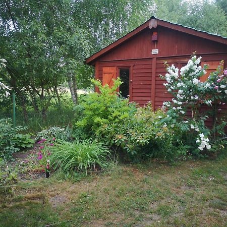 Domki Domek Na Jeziorem Wilczynskim Budzislawskim , Las, Osobno Ogrodzony 2-6 Osob- Klimatyzacja, Ogrzewanie, 62-550 Zygmuntowo Gm Wilczyn Exteriör bild
