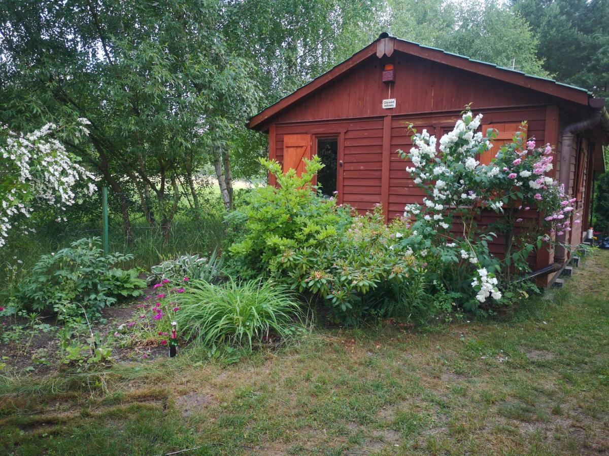 Domki Domek Na Jeziorem Wilczynskim Budzislawskim , Las, Osobno Ogrodzony 2-6 Osob- Klimatyzacja, Ogrzewanie, 62-550 Zygmuntowo Gm Wilczyn Exteriör bild
