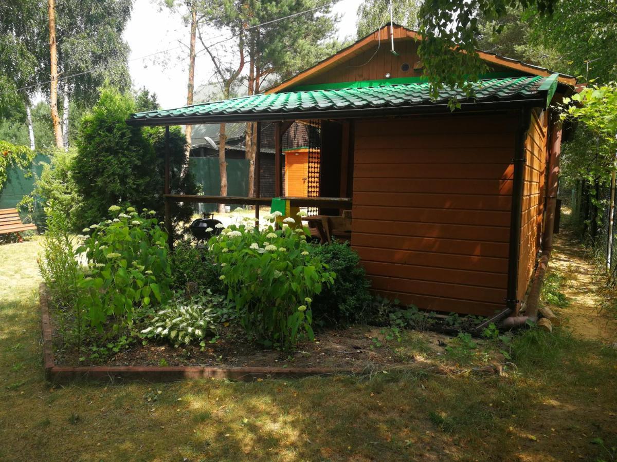 Domki Domek Na Jeziorem Wilczynskim Budzislawskim , Las, Osobno Ogrodzony 2-6 Osob- Klimatyzacja, Ogrzewanie, 62-550 Zygmuntowo Gm Wilczyn Exteriör bild