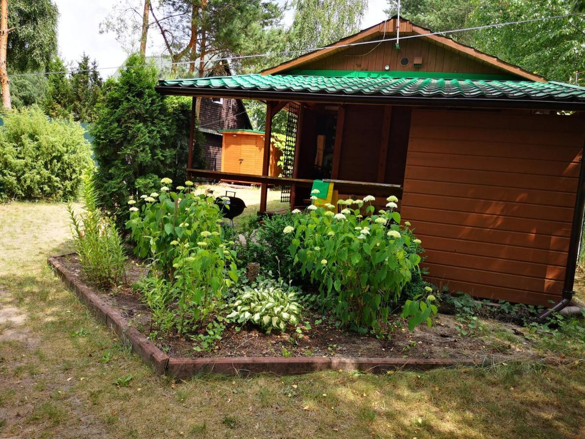 Domki Domek Na Jeziorem Wilczynskim Budzislawskim , Las, Osobno Ogrodzony 2-6 Osob- Klimatyzacja, Ogrzewanie, 62-550 Zygmuntowo Gm Wilczyn Exteriör bild