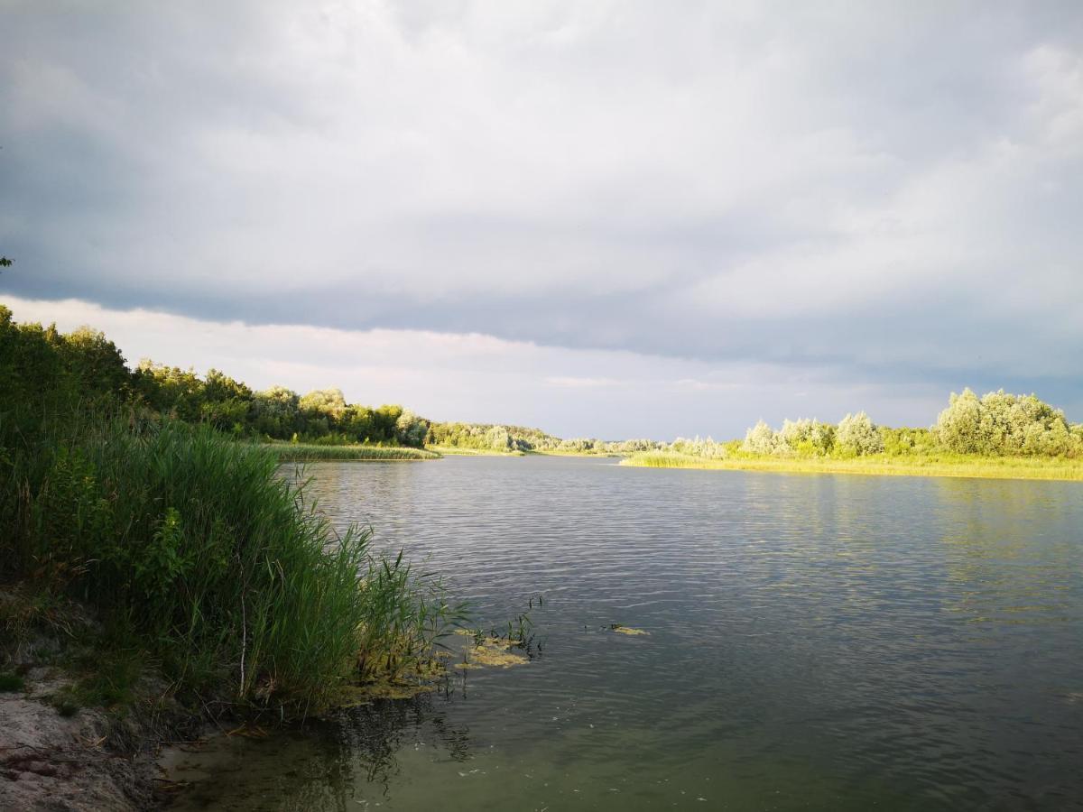 Domki Domek Na Jeziorem Wilczynskim Budzislawskim , Las, Osobno Ogrodzony 2-6 Osob- Klimatyzacja, Ogrzewanie, 62-550 Zygmuntowo Gm Wilczyn Exteriör bild