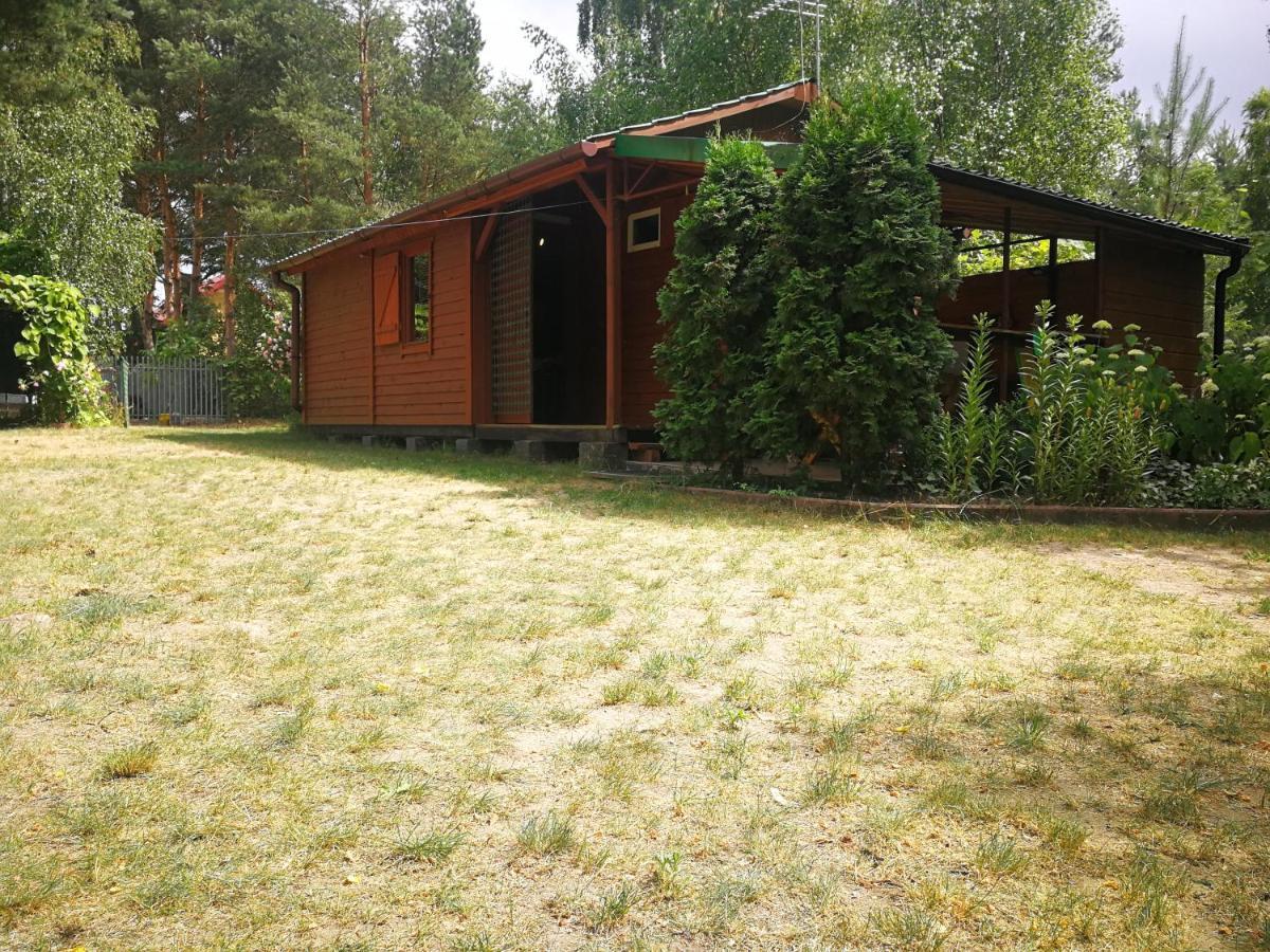 Domki Domek Na Jeziorem Wilczynskim Budzislawskim , Las, Osobno Ogrodzony 2-6 Osob- Klimatyzacja, Ogrzewanie, 62-550 Zygmuntowo Gm Wilczyn Exteriör bild